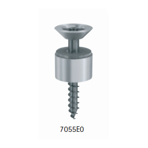 Pauli 7055E0 punktbeslag trskrue