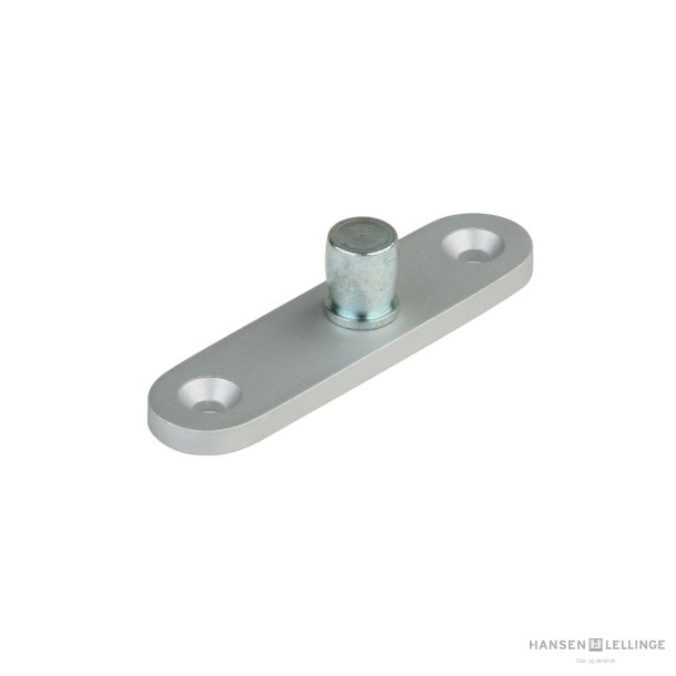 Dorma 01.116 PT24 6 mm alu pinol p plade